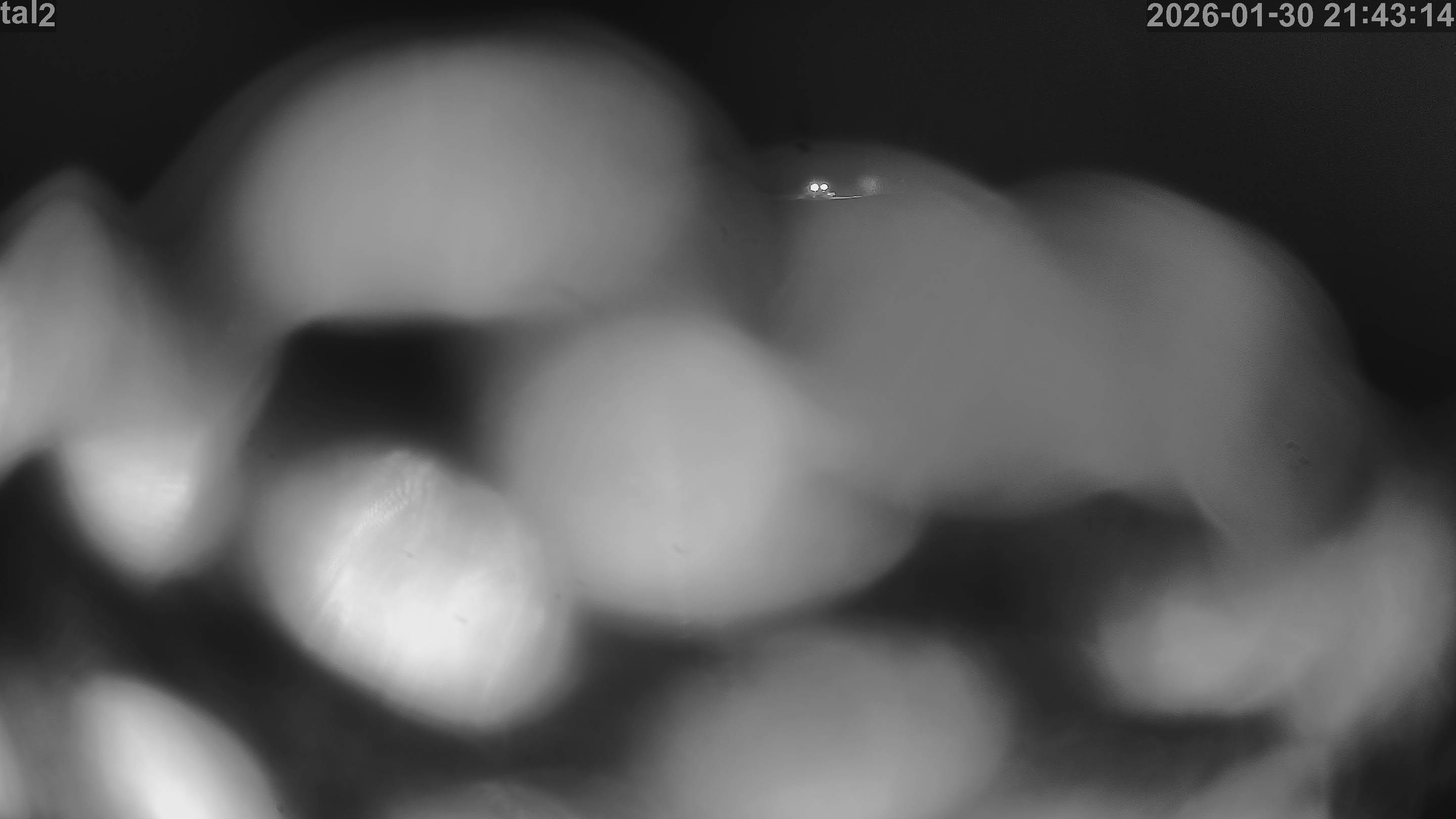 Skilifte Gantrisch Gurnigel