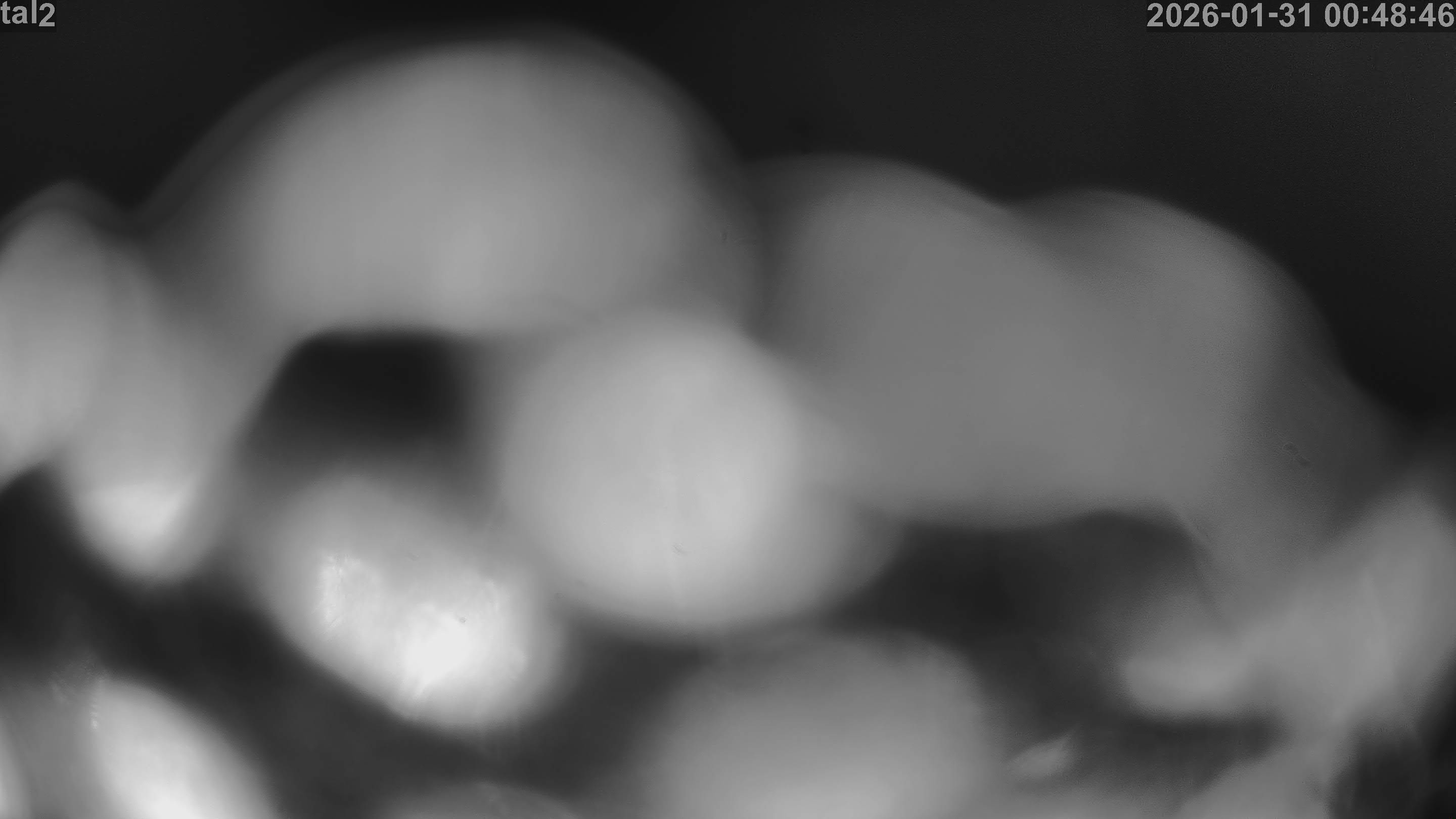 Skilifte Gantrisch Gurnigel