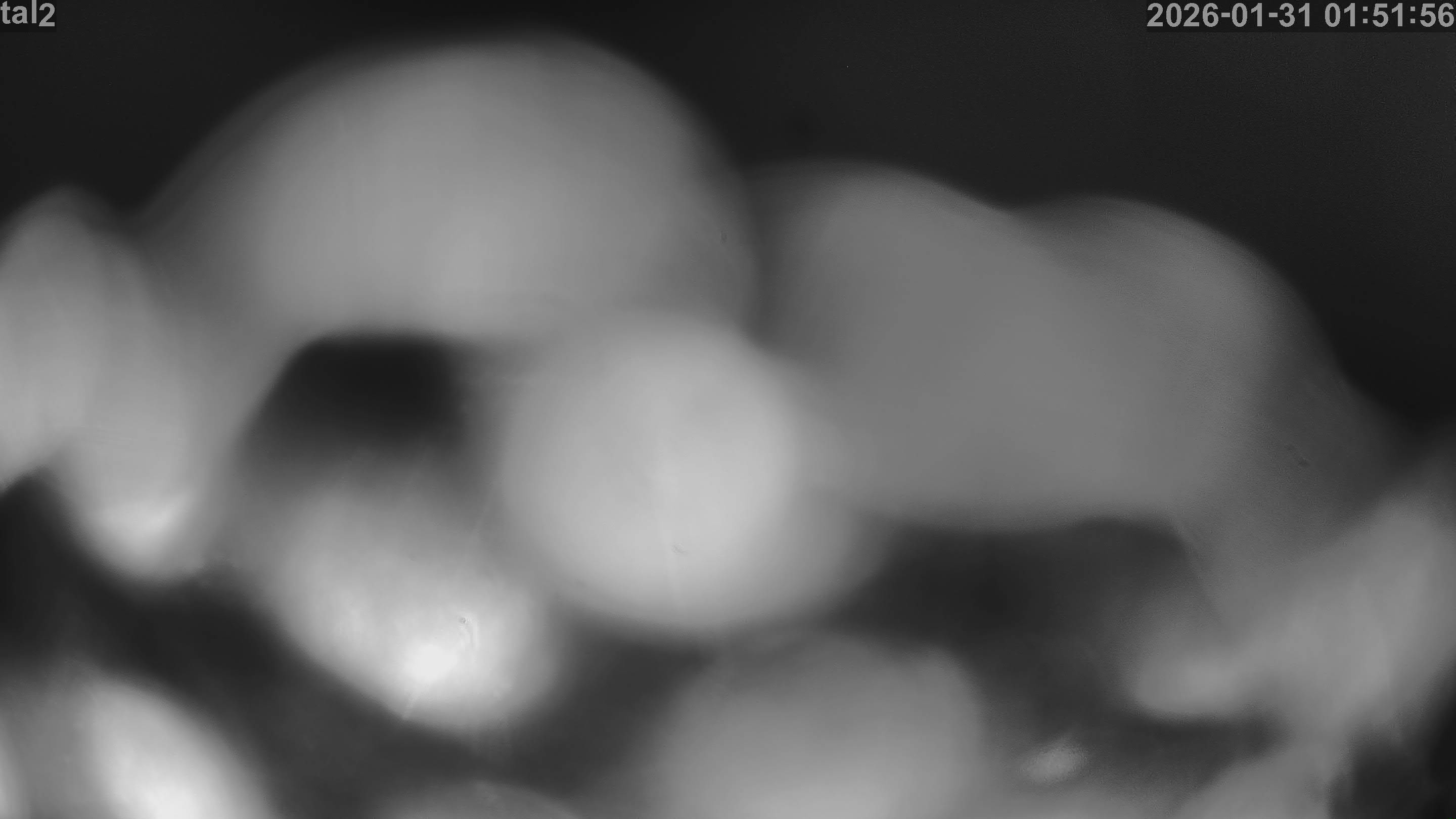 Skilifte Gantrisch Gurnigel