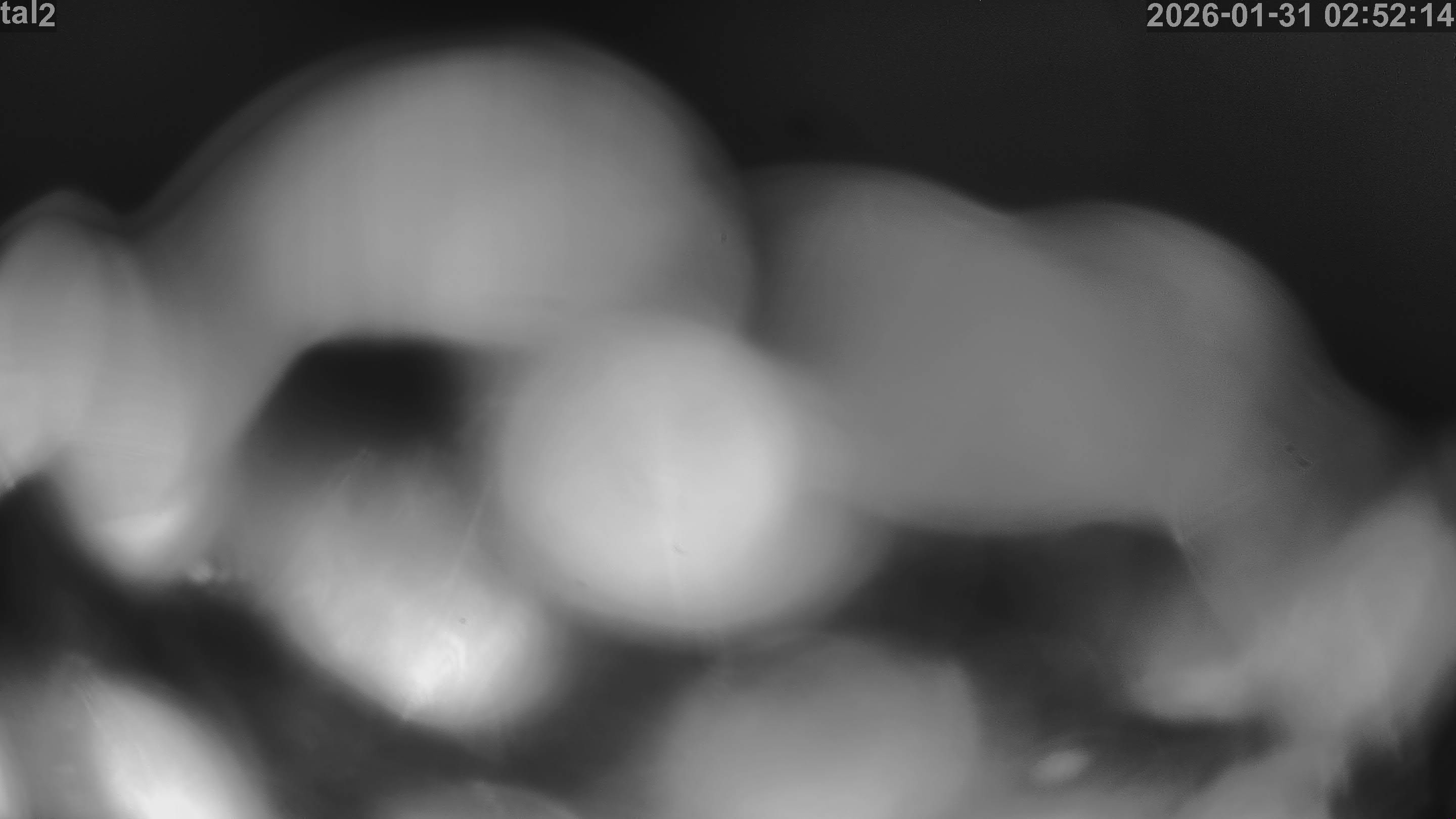 Skilifte Gantrisch Gurnigel