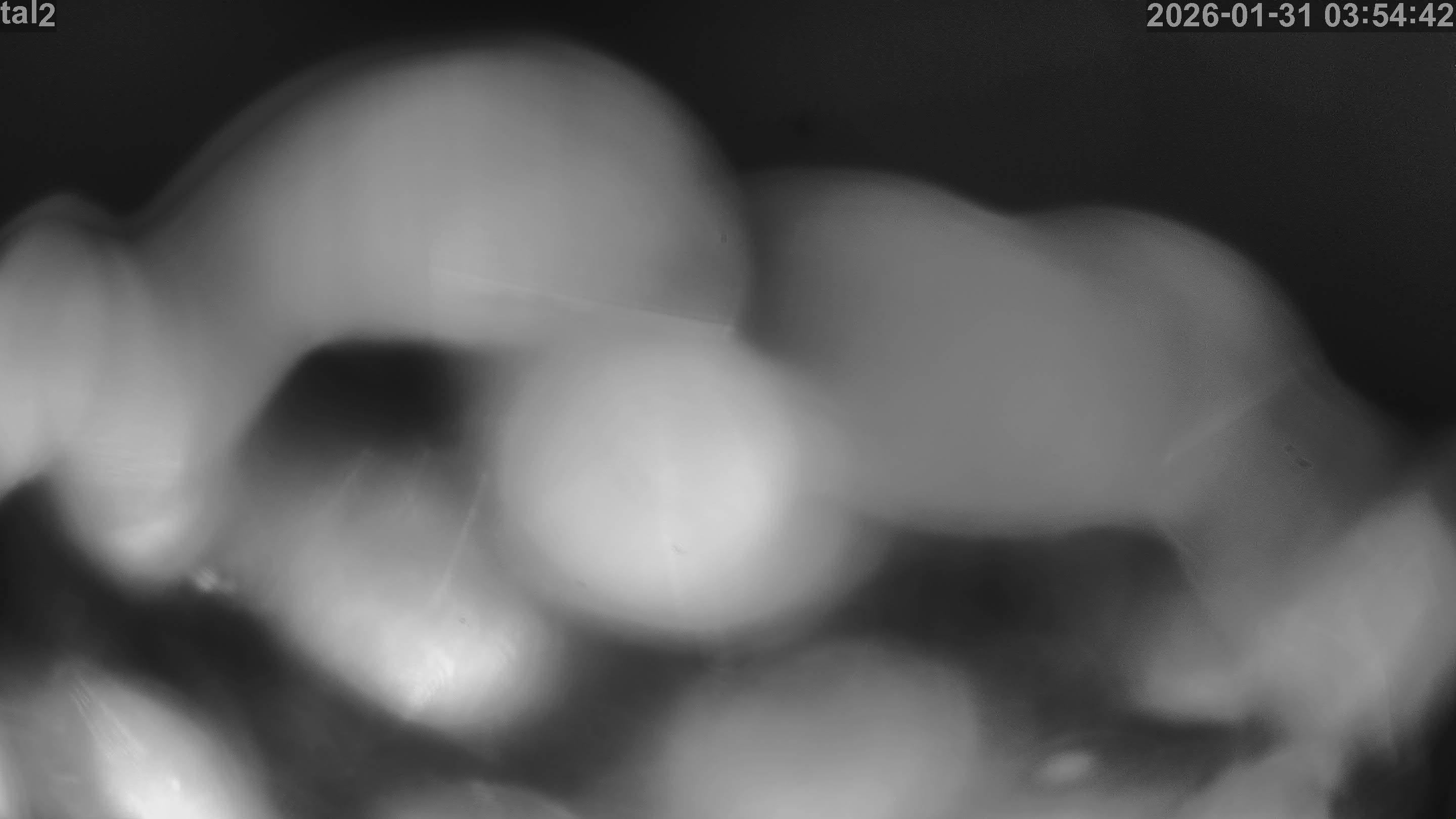 Skilifte Gantrisch Gurnigel