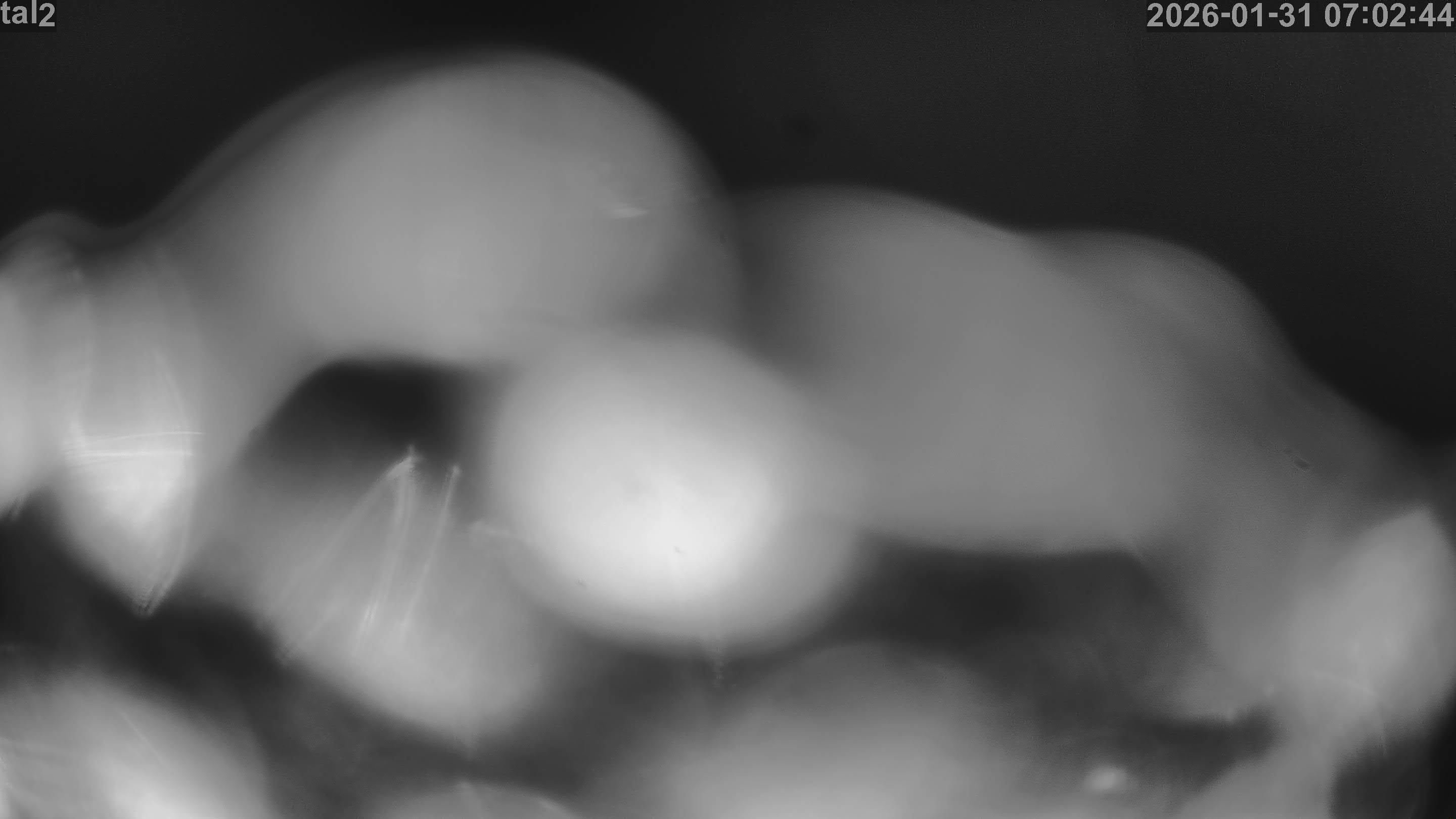 Skilifte Gantrisch Gurnigel