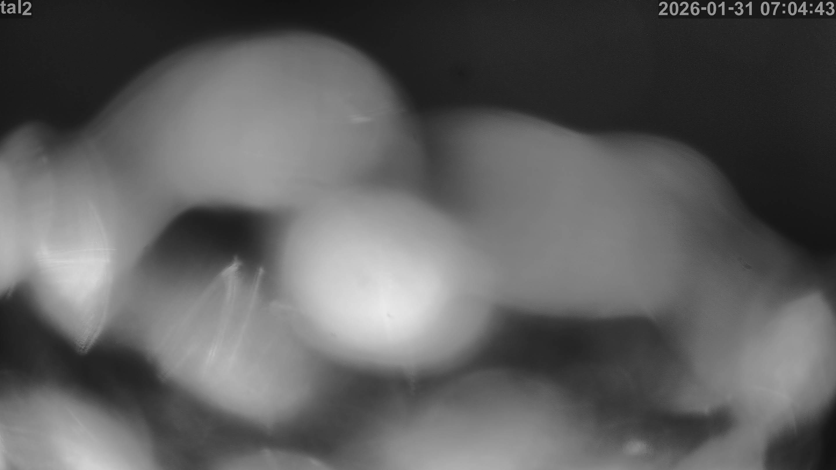 Skilifte Gantrisch Gurnigel